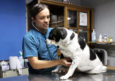 Clínica veterinaria Farmamet | Productos para mascotas, perros y gatos